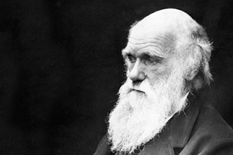 Creation and Evolution: Answering the Question, Did Darwin Murder God?