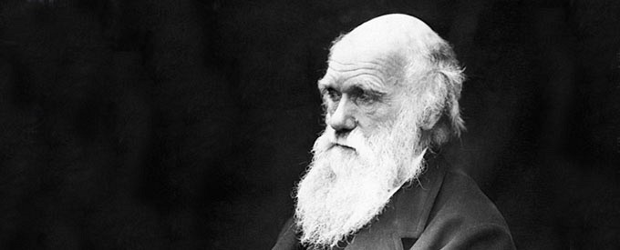 Creation and Evolution: Answering the Question, Did Darwin Murder God?